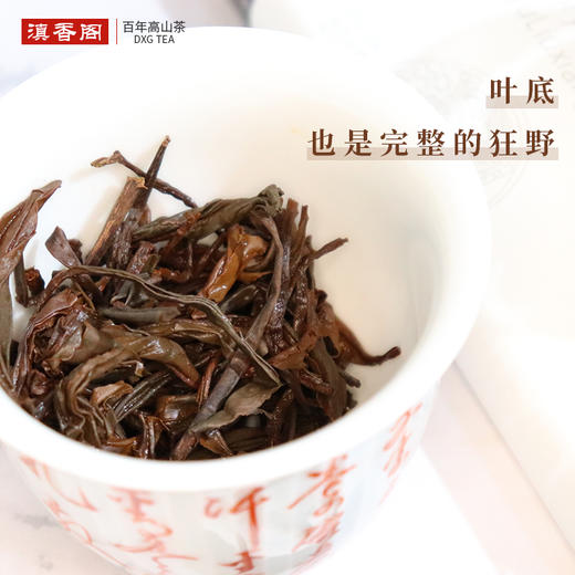 花香小种红茶100g 荒野小种茶 商品图3