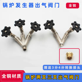 电加热蒸汽发生器配件 江心锅炉出气阀 二叉阀工业全蒸汽锅炉三叉