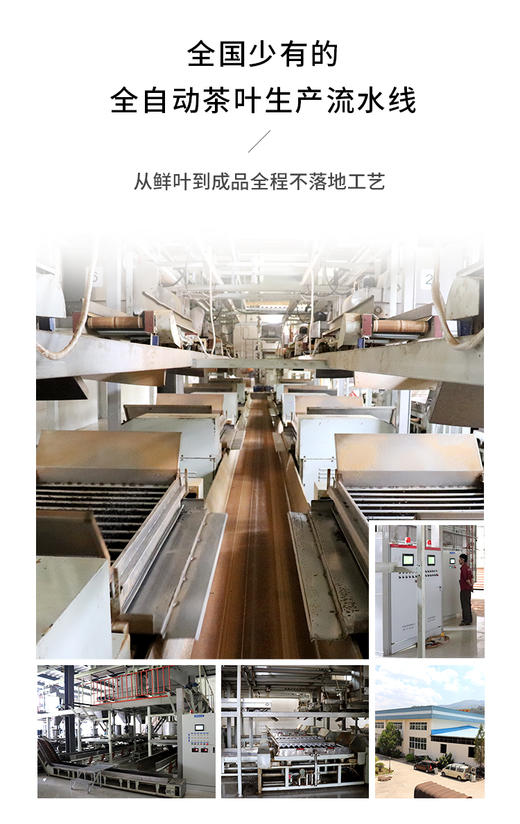 滇香阁 醉金枝红茶 75g 商品图2