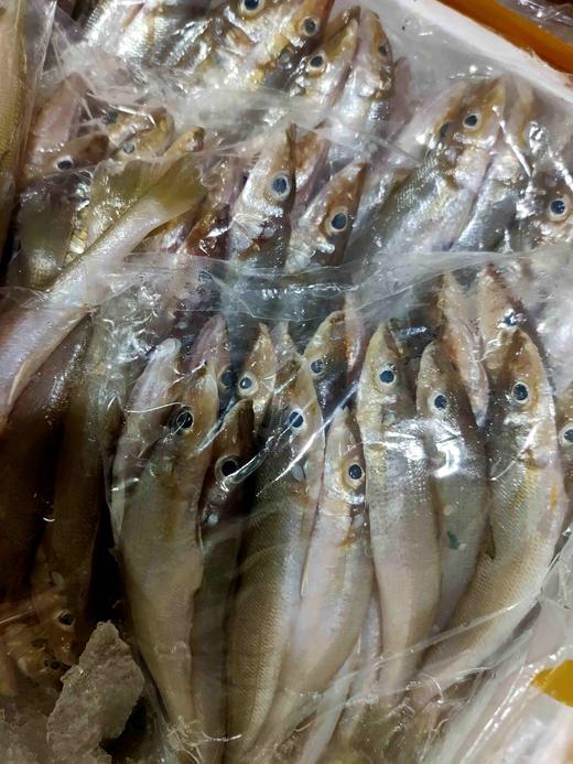 沙丁鱼，1斤 商品图0