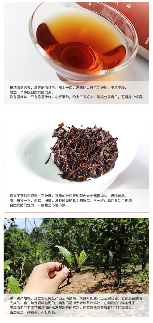 滇香阁 宫廷普洱熟茶 老茶 50克 商品图8