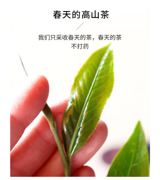 滇香阁 醉金枝红茶 75g 商品图10