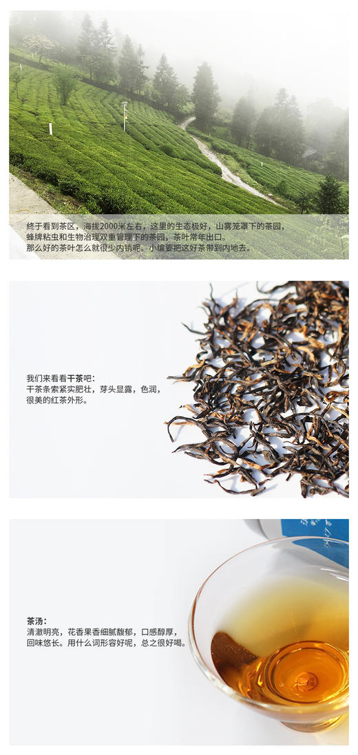 滇香阁 恩施富硒红茶 80g 商品图5