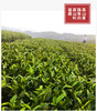 年货福利 2022年福鼎老寿眉散茶 200克简装 商品缩略图8