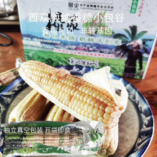 西双版纳 香糯小包谷 非转基因 开袋即食 4斤/1箱【包邮】 商品图0