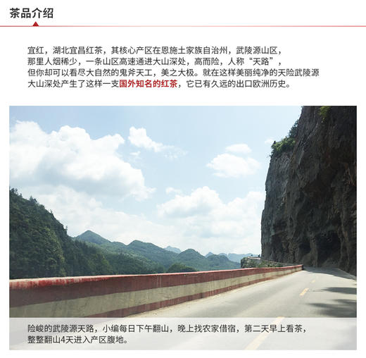 滇香阁 恩施富硒红茶 80g 商品图4