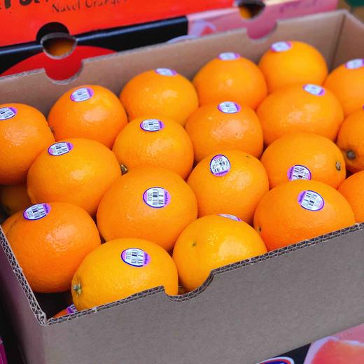 【血橙】澳洲新奇士3110#血橙,富含花青素,功能型水果,女神必备!