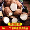 奶心小芋头○ 带言 商品缩略图2