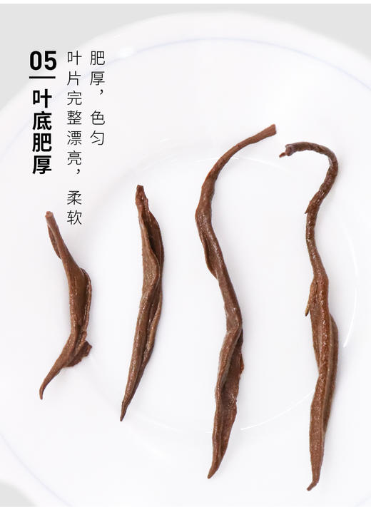 滇香阁 醉金枝红茶 75g 商品图11