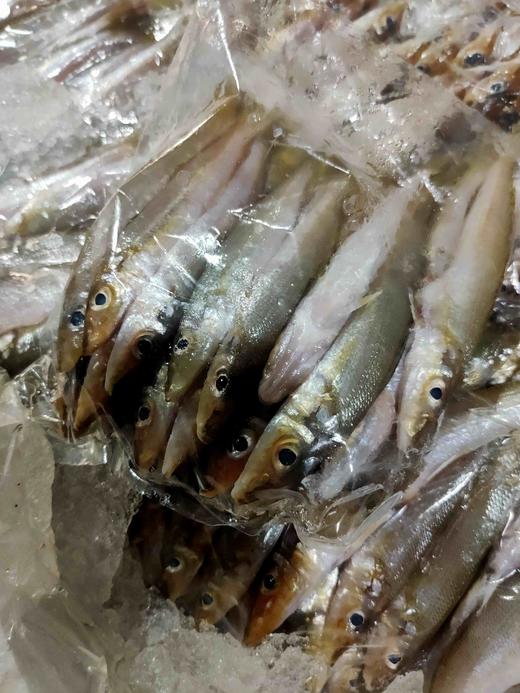 沙丁鱼，1斤 商品图1