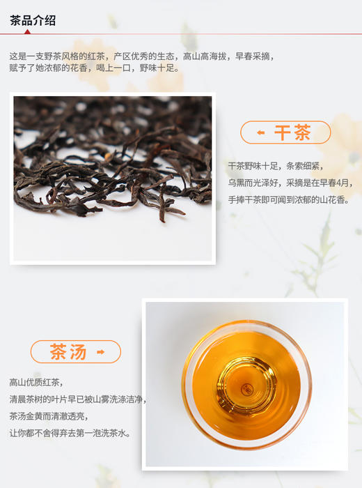 花香小种红茶100g 荒野小种茶 商品图4