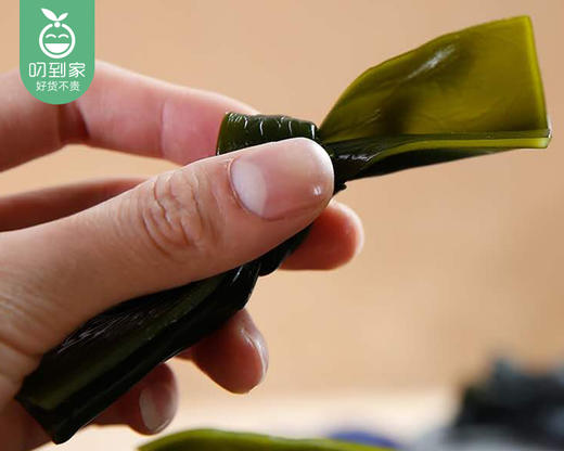 霞浦精选海带结（干货）/1包（200g）生产日期：12月18日左右补单专用 商品图2