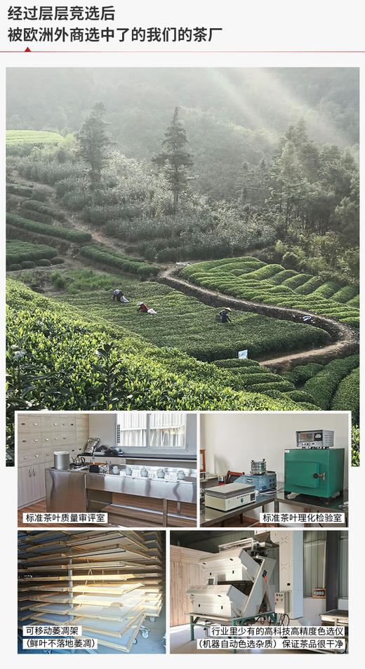 五福临门饼茶礼盒 一品寿眉 / 普洱熟饼 商品图9