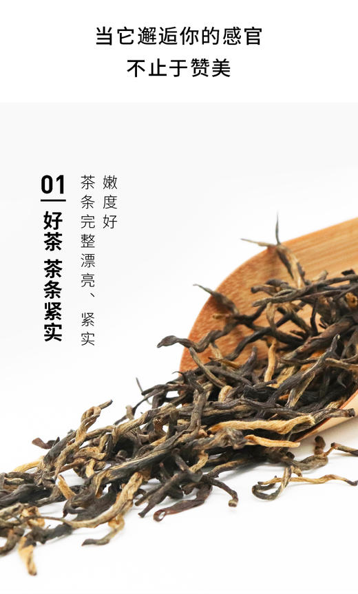 滇香阁 醉金枝红茶 75g 商品图4