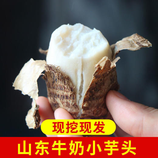 奶心小芋头○ 带言 商品图1