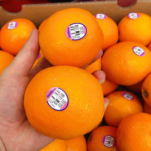 【血橙】澳洲新奇士3110#血橙,富含花青素,功能型水果,女神必备!