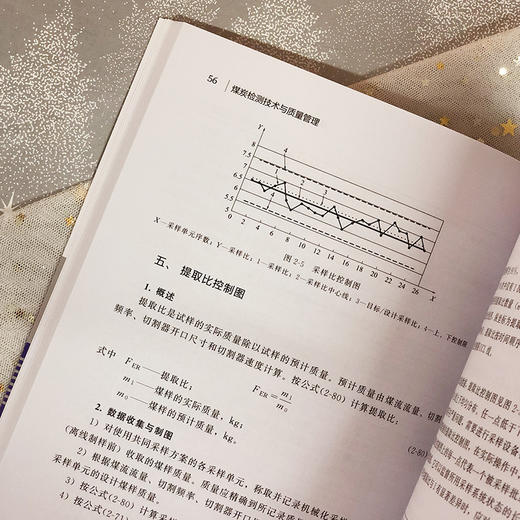 煤炭检测技术与质量管理 孙刚 煤炭采样制样化验技术 煤炭检测管理技术人员培训教材煤样制备原理书煤炭检测分析化验技术 商品图3