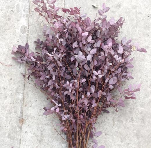 红积木若干枝扎