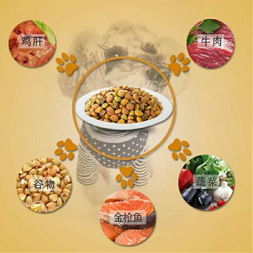 尤妮佳 汪汪爱全价成年期犬粮 1.3kg 商品图1