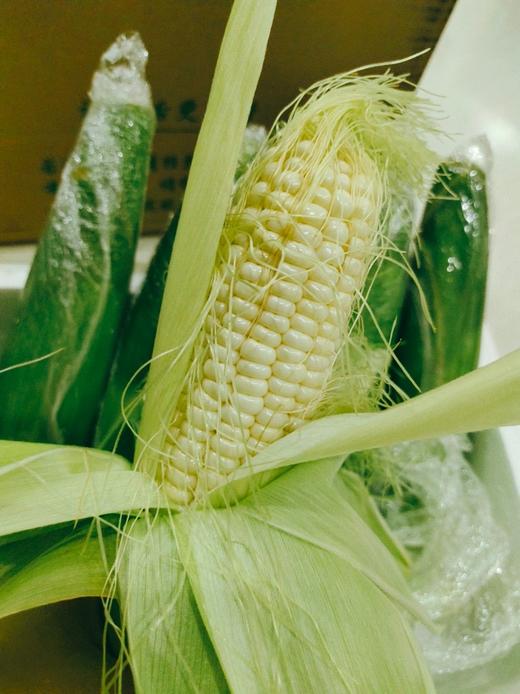 牛奶玉米，一口爆汁，甜脆的口感，让你爱不释手 商品图1