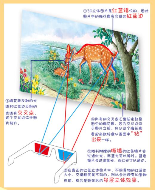 《动物童话百科全书》赠送3D眼镜，边听故事边学英语，还能看3D大片儿 有趣好玩涨知识，让孩子读到入迷 商品图7