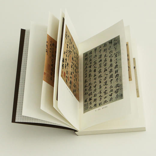 【中国人的精神偶像】《苏东坡新传》（全2册） | 二手书炒至千元 ，用诗词呈现苏东坡的一生。 商品图7