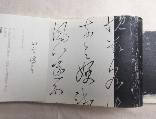 【2018年中国“最美的书”】墨香书条石 苏州园林档案馆编 书法/篆刻 商品图2