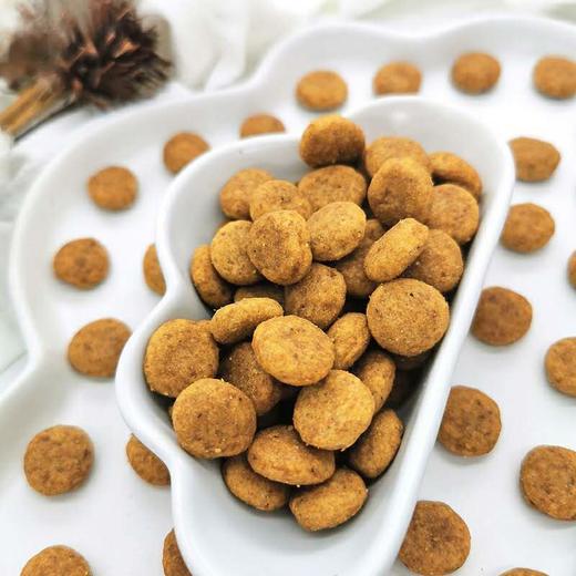 皇家 中型犬成犬粮 4kg 商品图1
