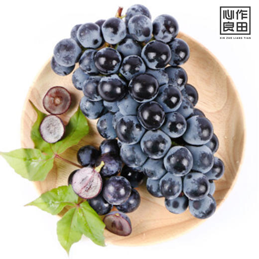 夏黑1斤装 商品图4