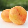 【黄金油蟠桃】4斤/箱，纯甜，精品大果 商品缩略图2
