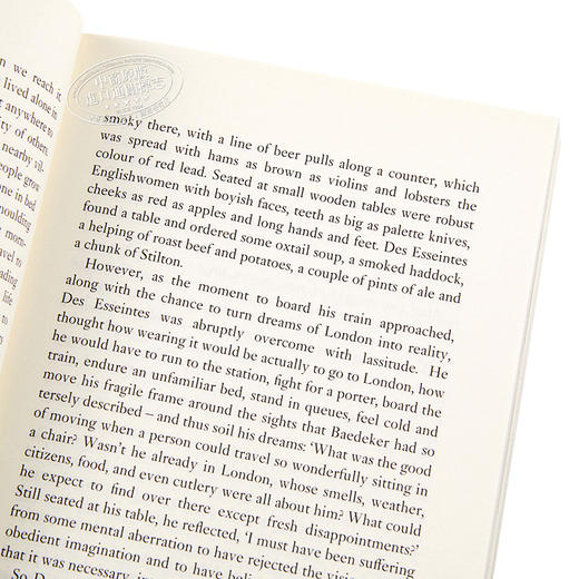 【中商原版】旅行的艺术英文原版The Art of Travel阿莱徳波顿Alain de Botton 商品图3