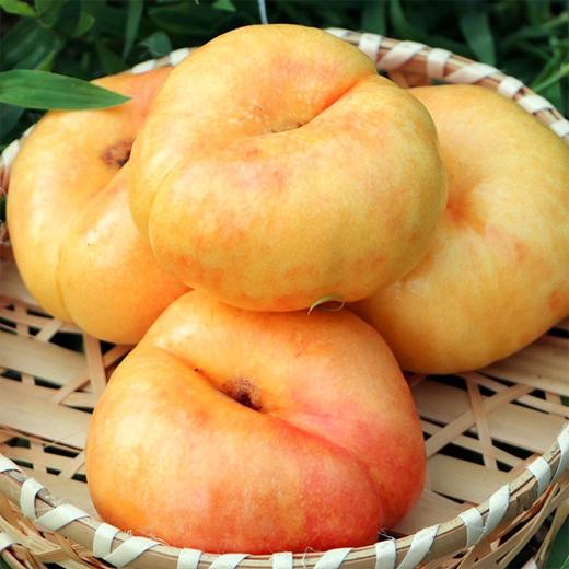 【黄金油蟠桃】4斤/箱，纯甜，精品大果 商品图4