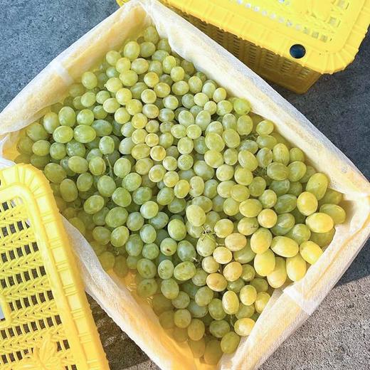【新疆吐鲁番无核白葡萄】约4斤/箱，纯甜无籽 商品图6