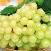 【新疆吐鲁番无核白葡萄】约4斤/箱，纯甜无籽 商品缩略图0