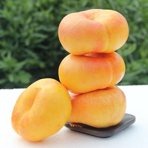 【黄金油蟠桃】4斤/箱，纯甜，精品大果 商品图1