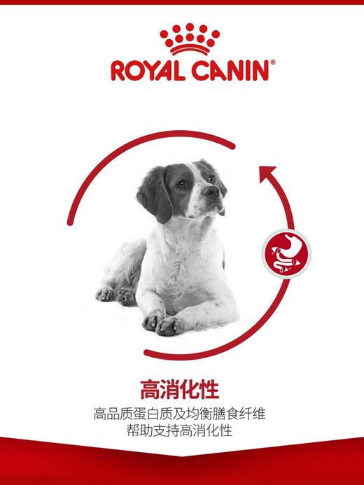 皇家 中型犬成犬粮 4kg 商品图2