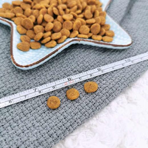 皇家 中型犬幼犬粮 4kg 商品图1