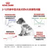 皇家 中型犬幼犬粮 4kg 商品缩略图2