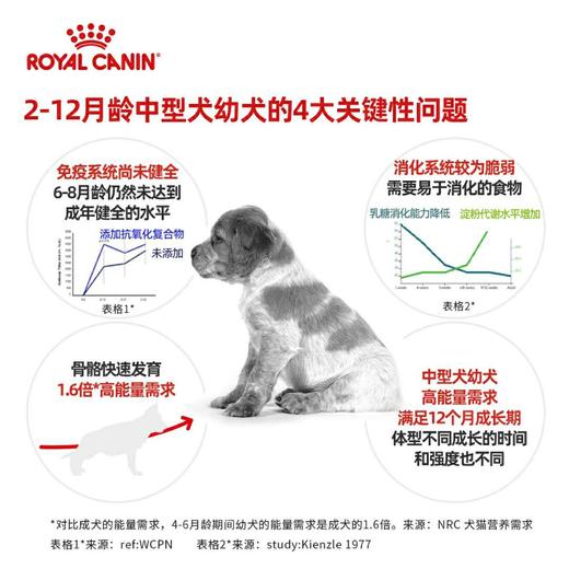 皇家 中型犬幼犬粮 4kg 商品图2
