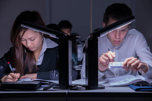 IGI国际宝石研究院厦门校区珠宝课程缴费专用链接 商品图9