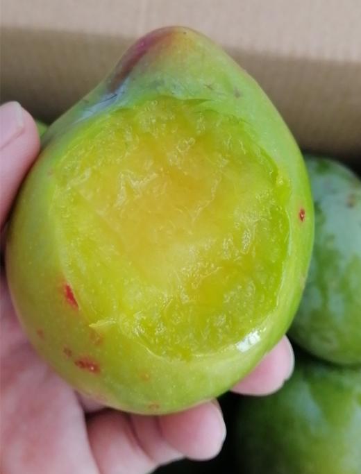 8月13日发货,浦江桃形李,酥脆多汁5斤装仅售25元!到店自提20元.