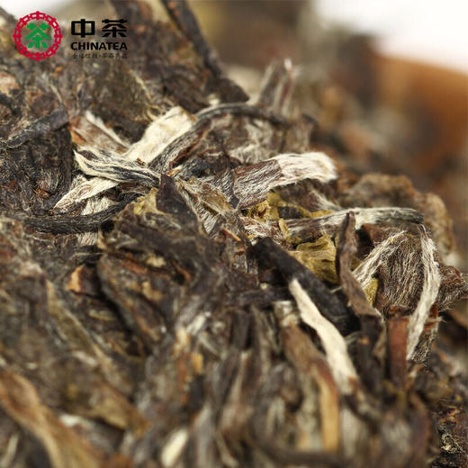 中茶蝴蝶牌2015年5302水仙白 白茶饼360g 商品图4