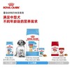 皇家 中型犬幼犬粮 4kg 商品缩略图4