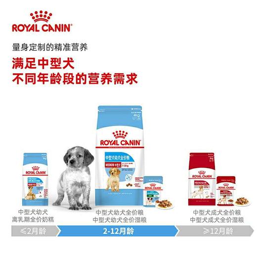 皇家 中型犬幼犬粮 4kg 商品图4