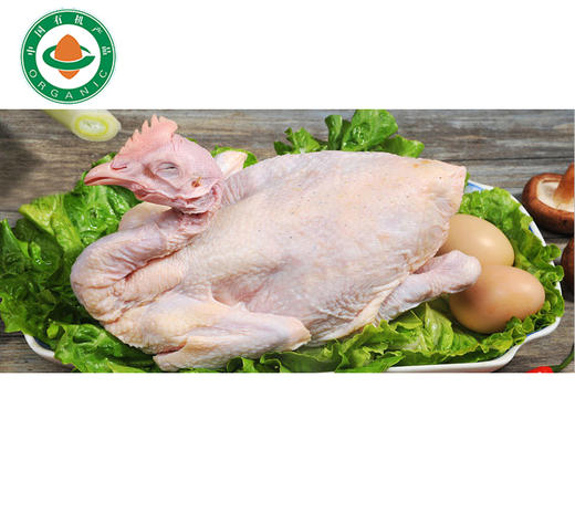 丨有机丨皖南竹乡鸡 童子鸡 老母鸡 新鲜鸡肉 商品图5
