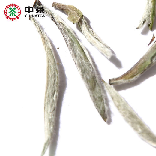 中茶蝴蝶牌2019年白毫银针500g 5135老树白茶罐装 商品图1