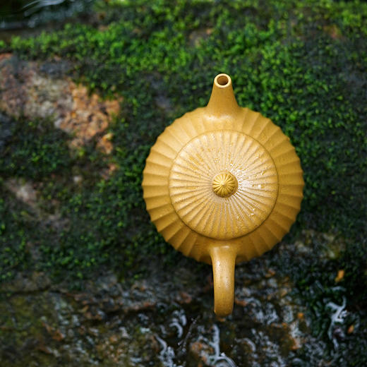 龙德堂陶艺 汤宣武制 《悟能》 350cc 原矿黄金段 (库存请咨询客服) 商品图2