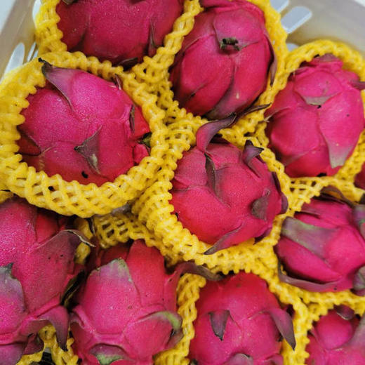 台湾蜜宝红心火龙果甜蜜花香 整箱8-10个 约10斤【仅发川渝 包邮】