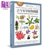 【中商原版】古今本草植物图鉴 收录台湾227种药用植物 含药名辩证 对应药材与植株 港台原版 猫头鹰编辑部 猫头鹰 商品缩略图0