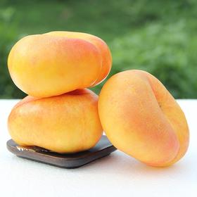 【黄金油蟠桃】4斤/箱，纯甜，精品大果